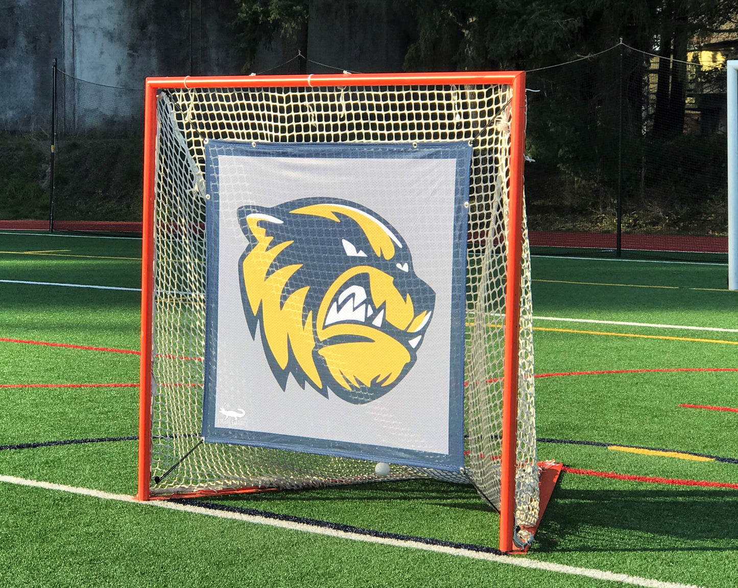 Custom Lacrosse Goal Rejectors